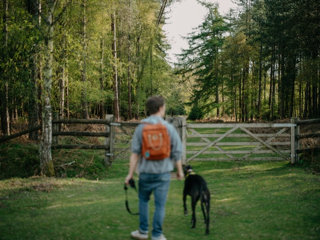 Penjanje u Paklenici